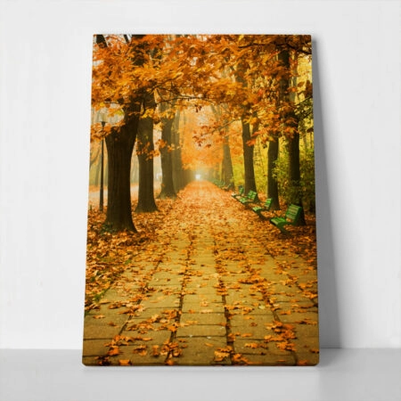 Πινακας σε καμβά AUTUMN SCENERY - Δασος