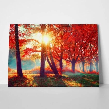 Πινακας σε καμβά AUTUMN FALL SCENE - Δασος