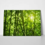 Πινακας σε καμβά BAMBOO 1