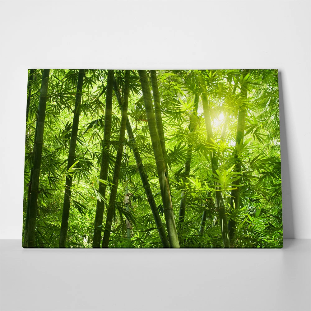 Πινακας σε καμβά BAMBOO 1
