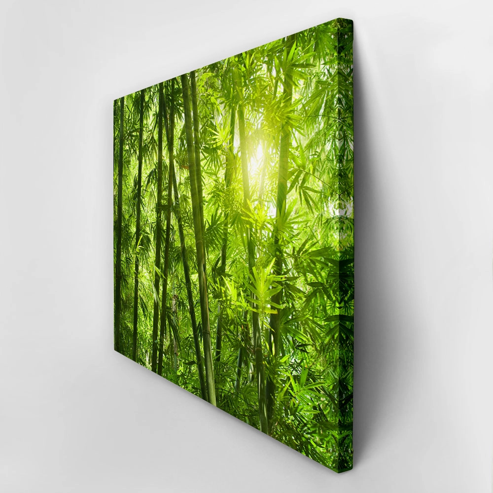 Πινακας σε καμβά BAMBOO 1