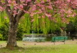 Πινακας σε καμβά BENCH POND
