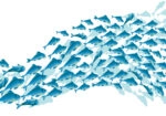 Πινακας σε καμβά BLUE SCHOOL FISH
