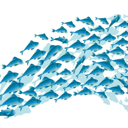 Πινακας σε καμβά BLUE SCHOOL FISH - Ψαρια - Ζωα της θαλασσας Sticky 8
