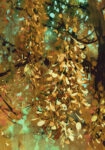 Πινακας σε καμβά BRIGHT YELLOW LEAVES