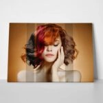 Πινακας σε καμβά HAIR COLOURS