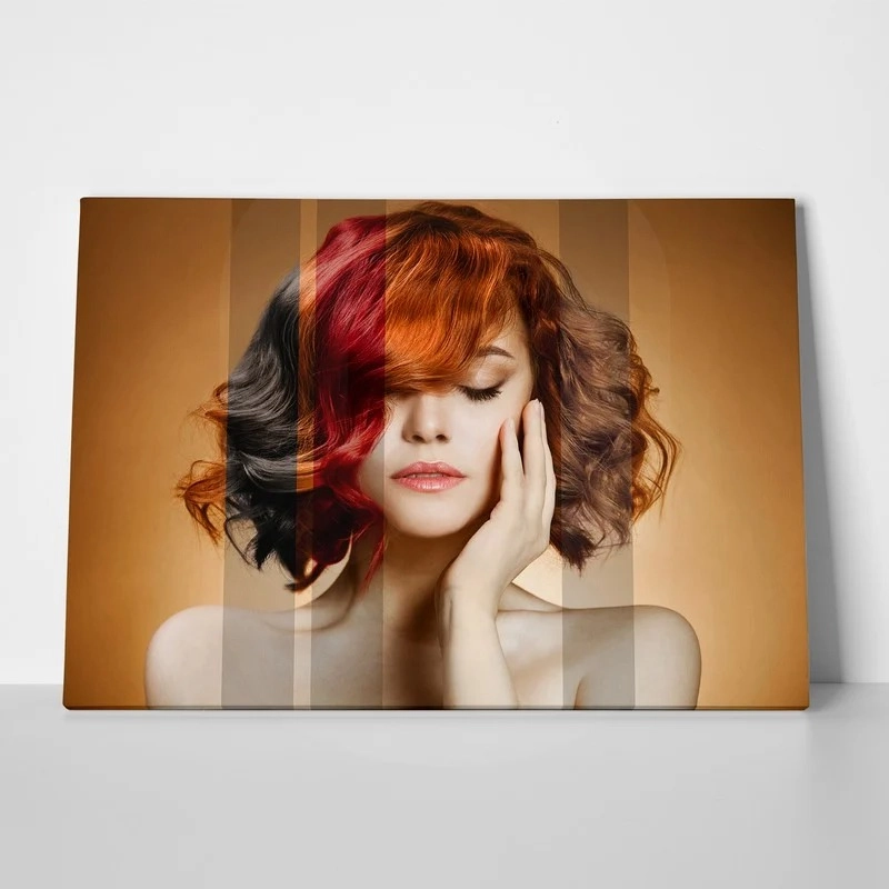 Πινακας σε καμβά HAIR COLOURS