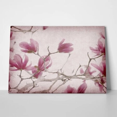 Πινακας σε καμβά MAGNOLIA FLOWERS ON OLD PAPER BACKGROUND - Μανολιες