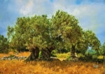 Πινακας σε καμβά OLIVE DRAWING 2