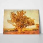 Πινακας σε καμβά OLIVE TREE 2