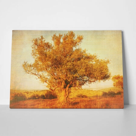 Πινακας σε καμβά OLIVE TREE 2 - Υπαιθρος Sticky 1