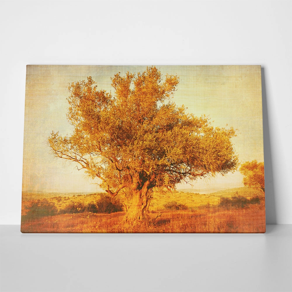 Πινακας σε καμβά OLIVE TREE 2