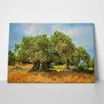 Πινακας σε καμβά OLIVE DRAWING 2