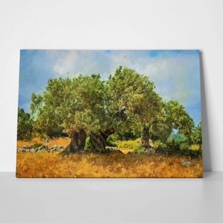Πινακας σε καμβά OLIVE DRAWING 2 - Υπαιθρος