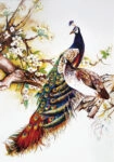 Πινακας σε καμβά PAIR OF PEACOCKS CHERRY BRANCH