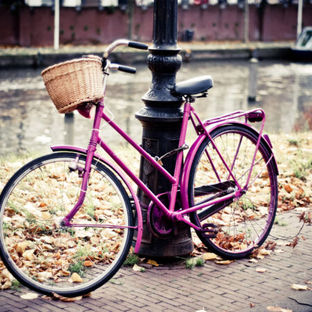 Πινακας σε καμβά PINK BIKE - Ποδηλατα Sticky 5