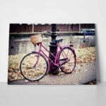 Πινακας σε καμβά PINK BIKE