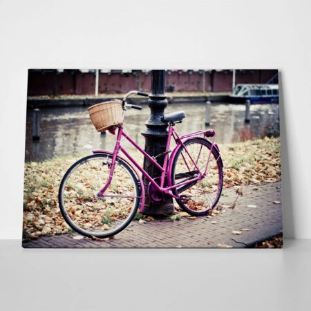 Πινακας σε καμβά PINK BIKE - Ποδηλατα Sticky 1