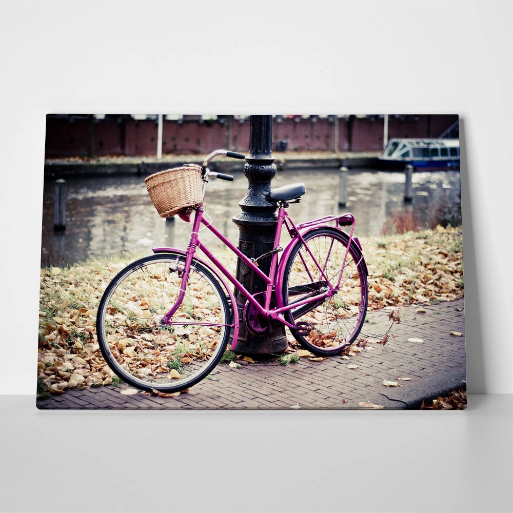 Πινακας σε καμβά PINK BIKE