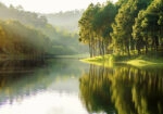 Πινακας σε καμβά REFLECTIONS 13