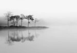 Πινακας σε καμβά REFLECTIONS 28