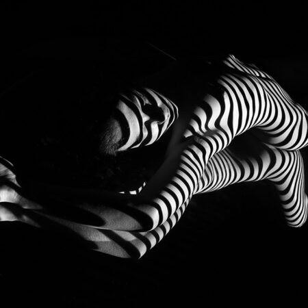 Πινακας σε καμβά REFLECTIONS 33 - Πορτραιτα και Φιγουρες Sticky 4