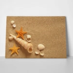 Πινακας σε καμβά SAND SHELLS