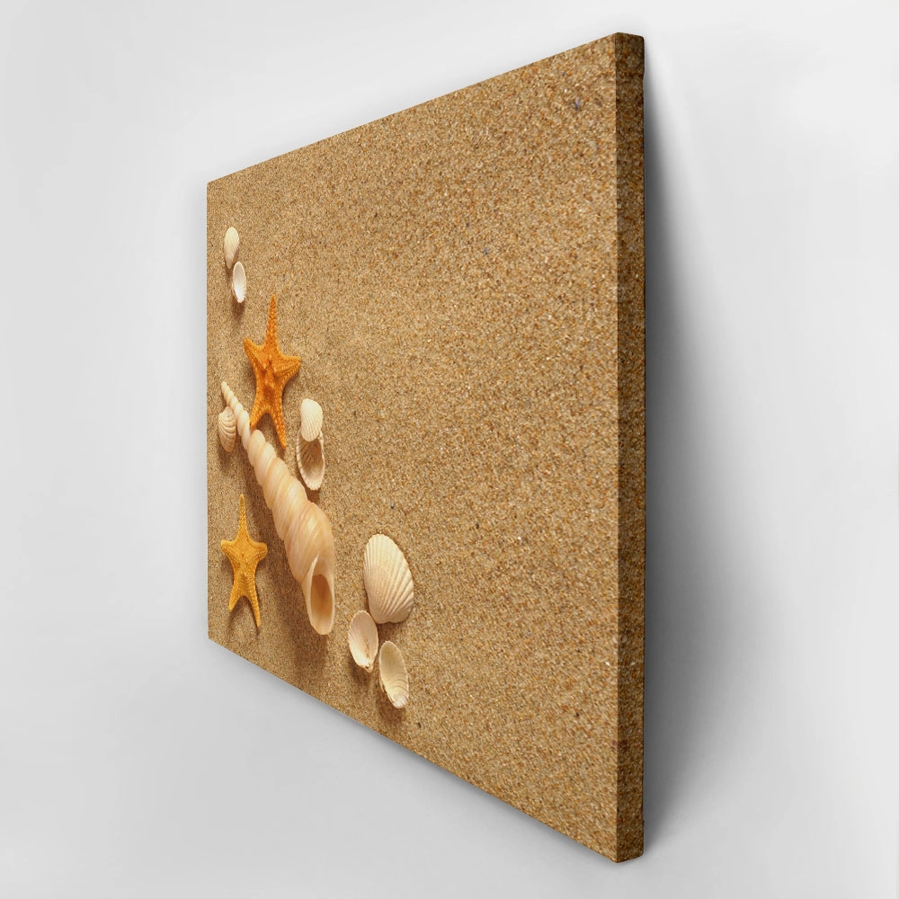 Πινακας σε καμβά SAND SHELLS