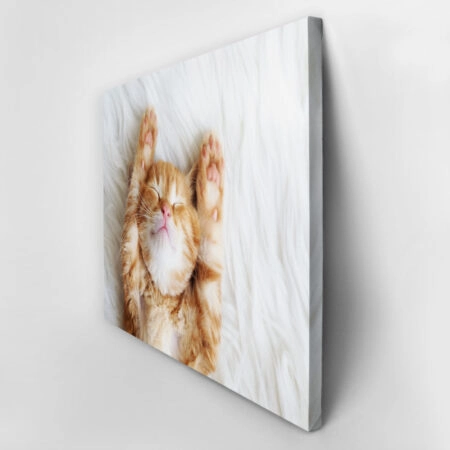 Πινακας σε καμβά SLEEPING CAT - Γατες Sticky 2