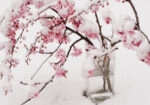 Πινακας σε καμβά SNOW BLOSSOM