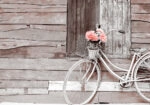 Πινακας σε καμβά VINTAGE BICYCLE 2