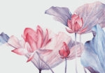 Πινακας σε καμβά WATERCOLOR BOTANICAL ILLUSTRATION LOTUS FLOWER