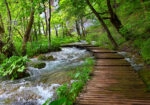 Πινακας σε καμβά WOODEN PATH