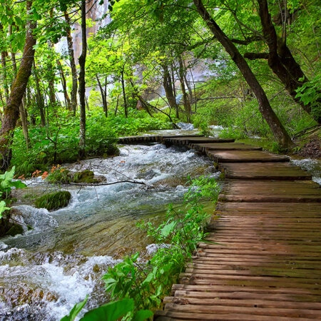 Πινακας σε καμβά WOODEN PATH - Δασος Sticky 9