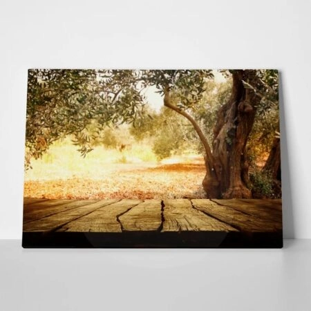 Πινακας σε καμβά WOODEN TABLE WITH OLIVE TREE - Υπαιθρος