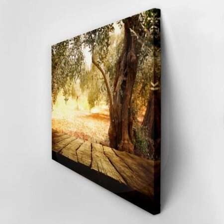 Πινακας σε καμβά WOODEN TABLE WITH OLIVE TREE - Υπαιθρος Sticky 2