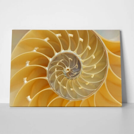 Πινακας σε καμβά YELLOW SHELL - Κοχυλια Sticky 1