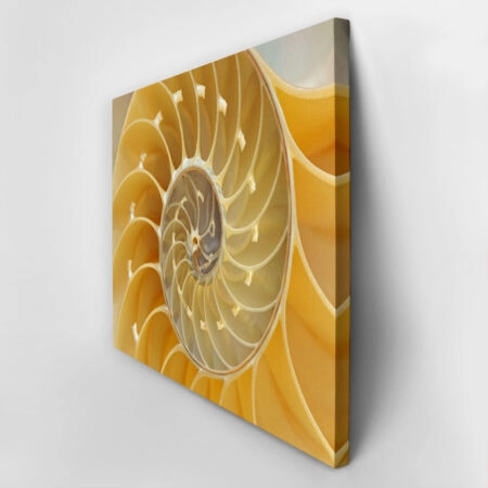 Πινακας σε καμβά YELLOW SHELL - Κοχυλια Sticky 5