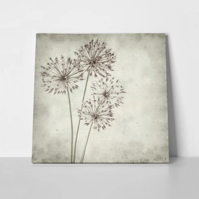 Πίνακας σε καμβά TEXTURED OLD PAPER BACKGROUND ALLIUM