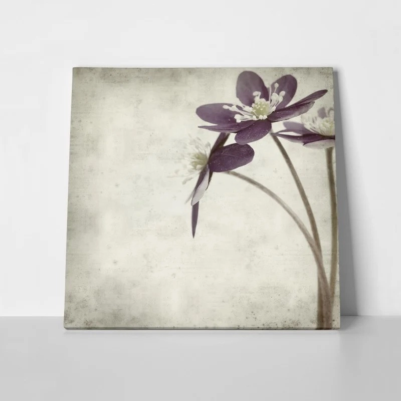 Πίνακας σε καμβά TEXTURED OLD PAPER BACKGROUND ANEMONE HEPATICA