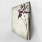 Πίνακας σε καμβά TEXTURED OLD PAPER BACKGROUND ANEMONE HEPATICA
