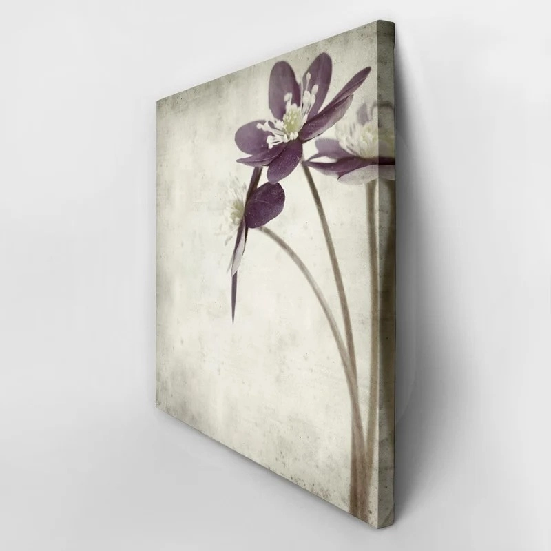 Πίνακας σε καμβά TEXTURED OLD PAPER BACKGROUND ANEMONE HEPATICA