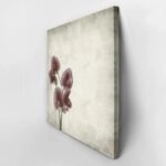 Πίνακας σε καμβά TEXTURED OLD PAPER BACKGROUND LATHYRUS TINGITANUS