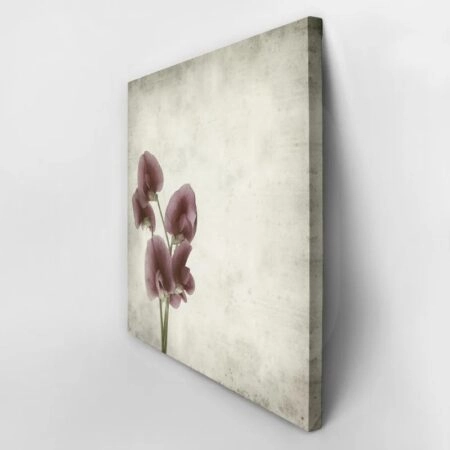 Πίνακας σε καμβά TEXTURED OLD PAPER BACKGROUND LATHYRUS TINGITANUS - Floral - Λουλουδια Sticky 3