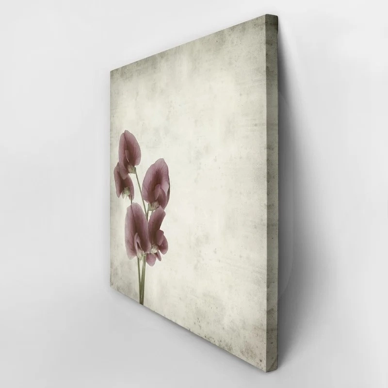 Πίνακας σε καμβά TEXTURED OLD PAPER BACKGROUND LATHYRUS TINGITANUS