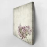 Πίνακας σε καμβά TEXTURED OLD PAPER BACKGROUND SCABIOSA FLOWER