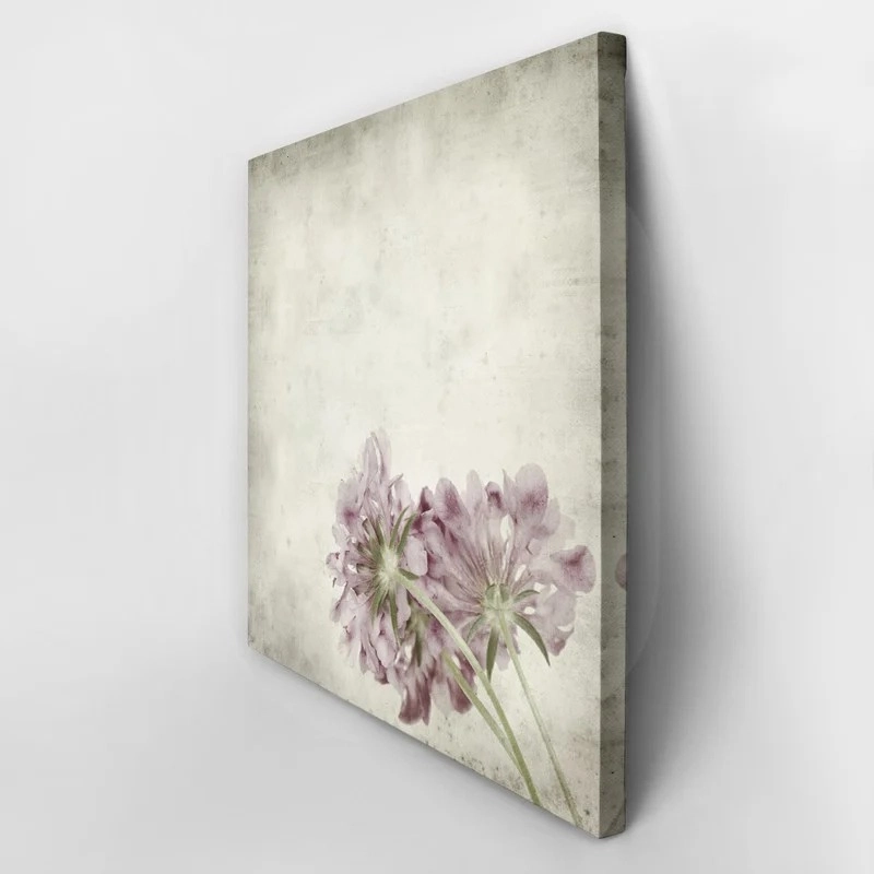 Πίνακας σε καμβά TEXTURED OLD PAPER BACKGROUND SCABIOSA FLOWER