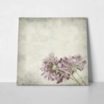 Πίνακας σε καμβά TEXTURED OLD PAPER BACKGROUND SCABIOSA FLOWER