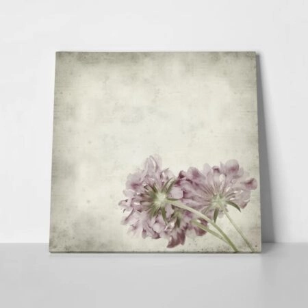 Πίνακας σε καμβά TEXTURED OLD PAPER BACKGROUND SCABIOSA FLOWER - Floral - Λουλουδια