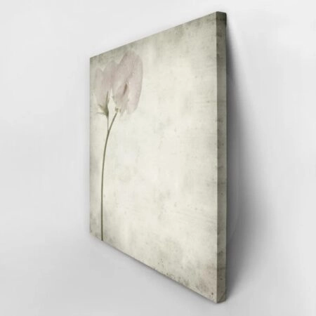 Πίνακας σε καμβά TEXTURED OLD PAPER BACKGROUND SWEET PEA - Floral - Λουλουδια Sticky 2